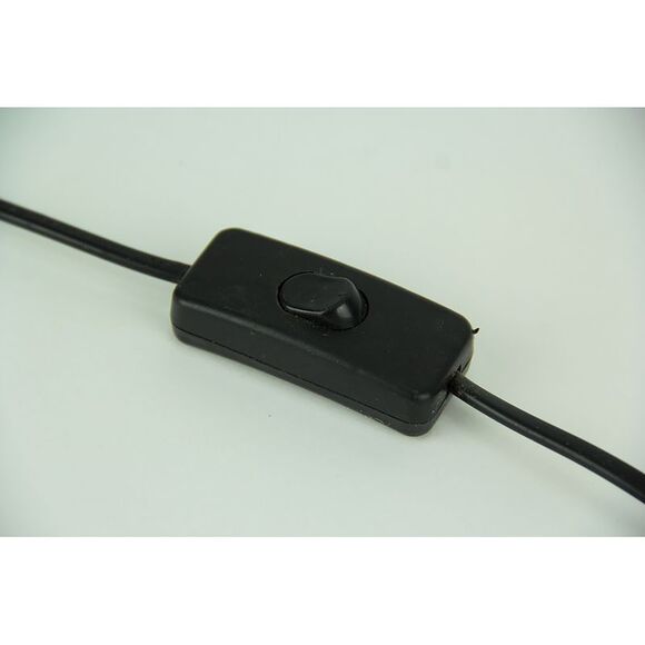 Dinosaurus Rex Wood and Coconut Shell Dinosaur Accent Lamp - Picture 4 of 4